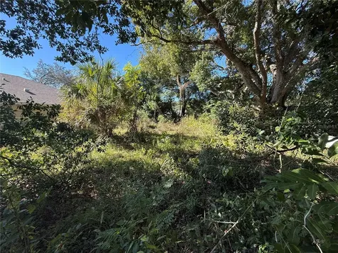 6515 Taylor Court New Port Richey FL 34653