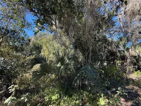 6515 Taylor Court New Port Richey FL 34653