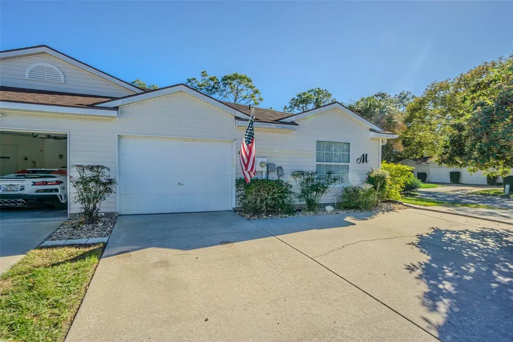 21502 Woodstork Lane Lutz FL 33549
