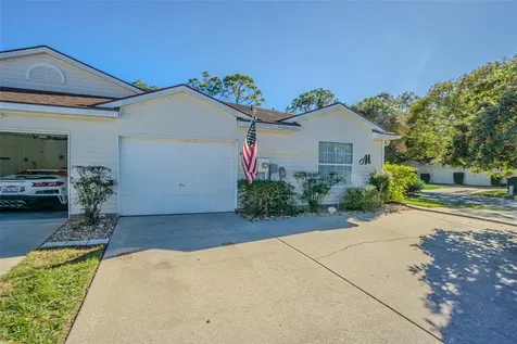 21502 Woodstork Lane Lutz FL 33549