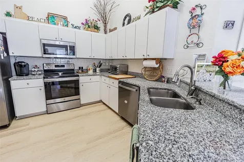 21502 Woodstork Lane Lutz FL 33549
