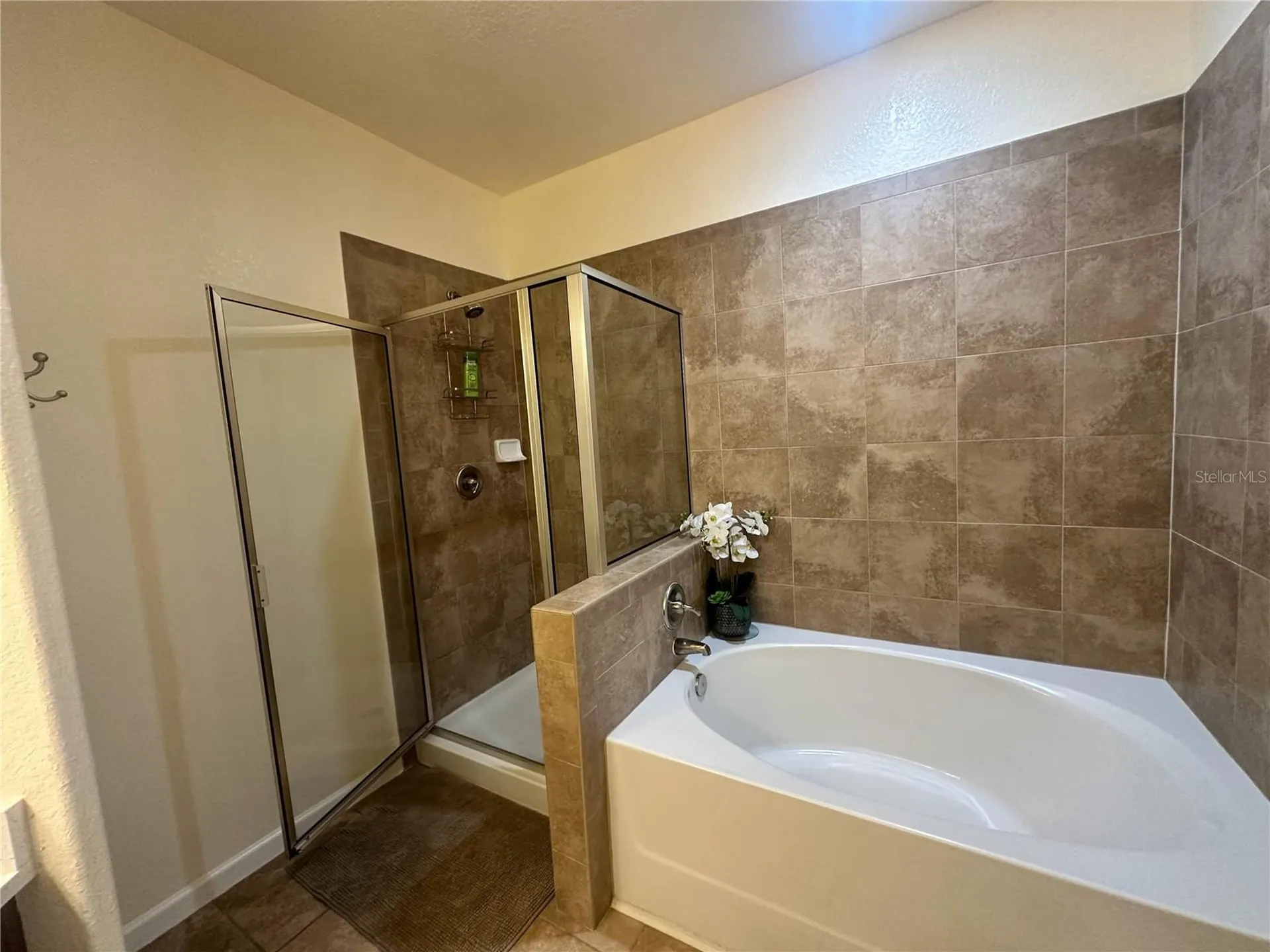 903 Charo Parkway Davenport FL 33897