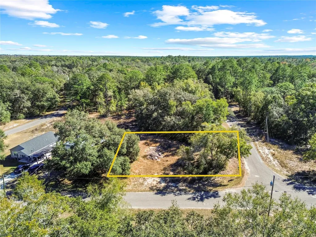 0 Guava Terrace Place & Bay Place Run Ocklawaha FL 32179