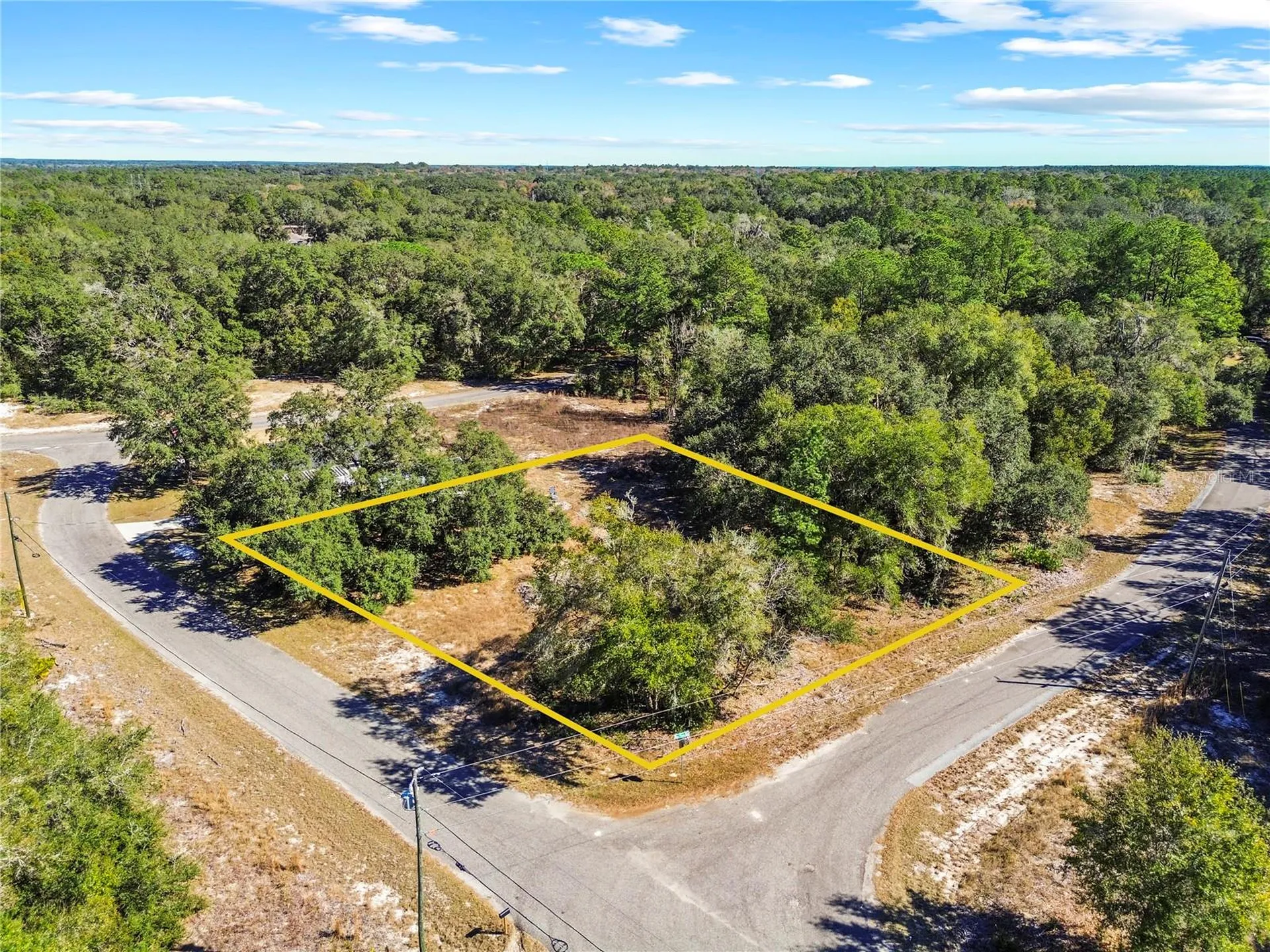 0 Guava Terrace Place & Bay Place Run Ocklawaha FL 32179