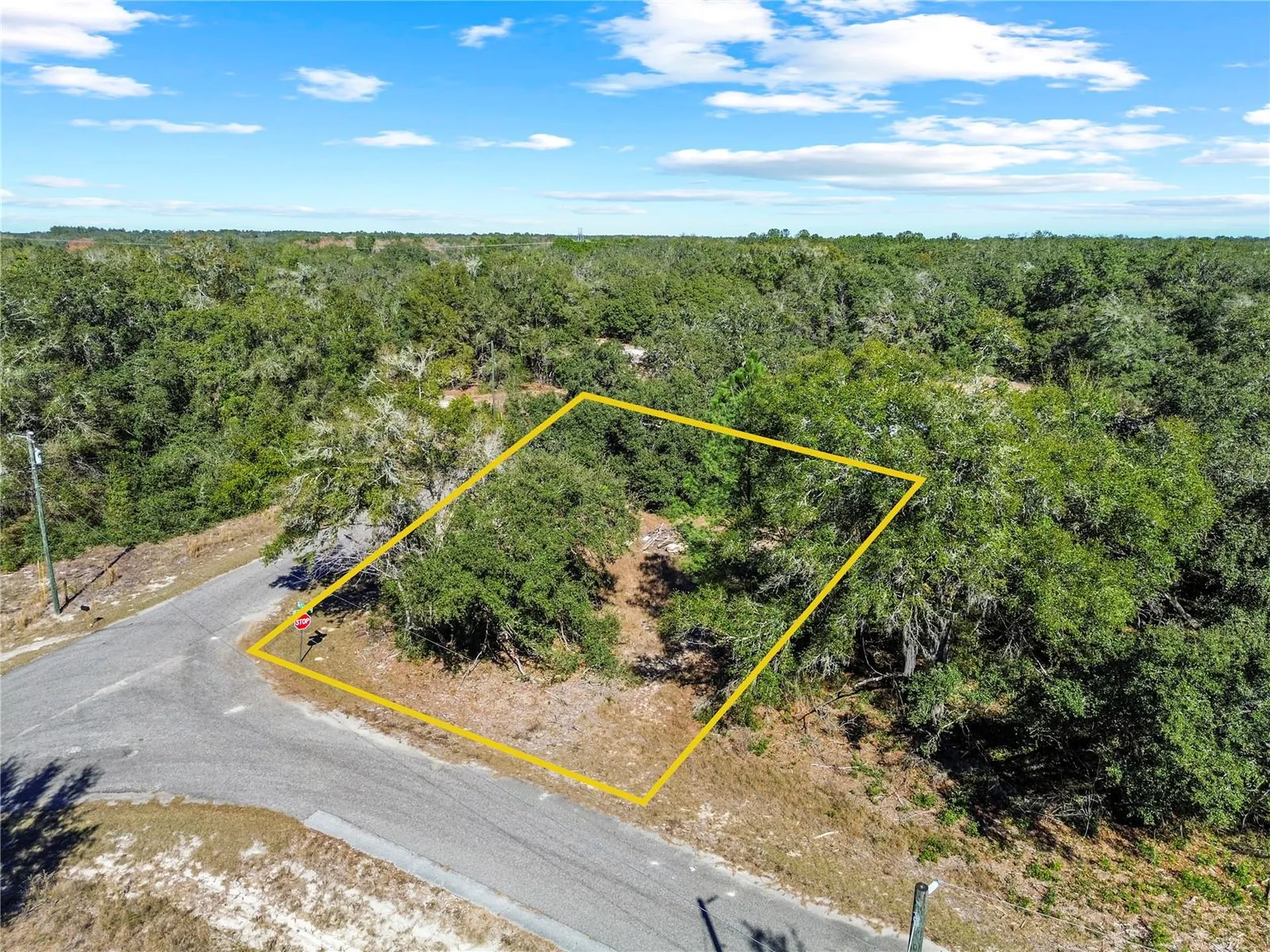 0 Guava Terrace Place & Bay Place Run Ocklawaha FL 32179
