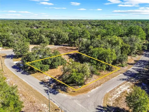 0 Guava Terrace Place & Bay Place Run Ocklawaha FL 32179