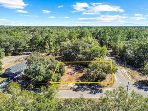 0 Guava Terrace Place & Bay Place Run Ocklawaha FL 32179