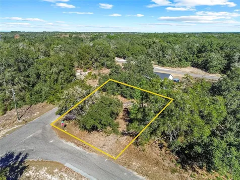 0 Guava Terrace Place & Bay Place Run Ocklawaha FL 32179
