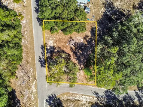 0 Guava Terrace Place & Bay Place Run Ocklawaha FL 32179
