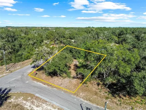 0 Guava Terrace Place & Bay Place Run Ocklawaha FL 32179