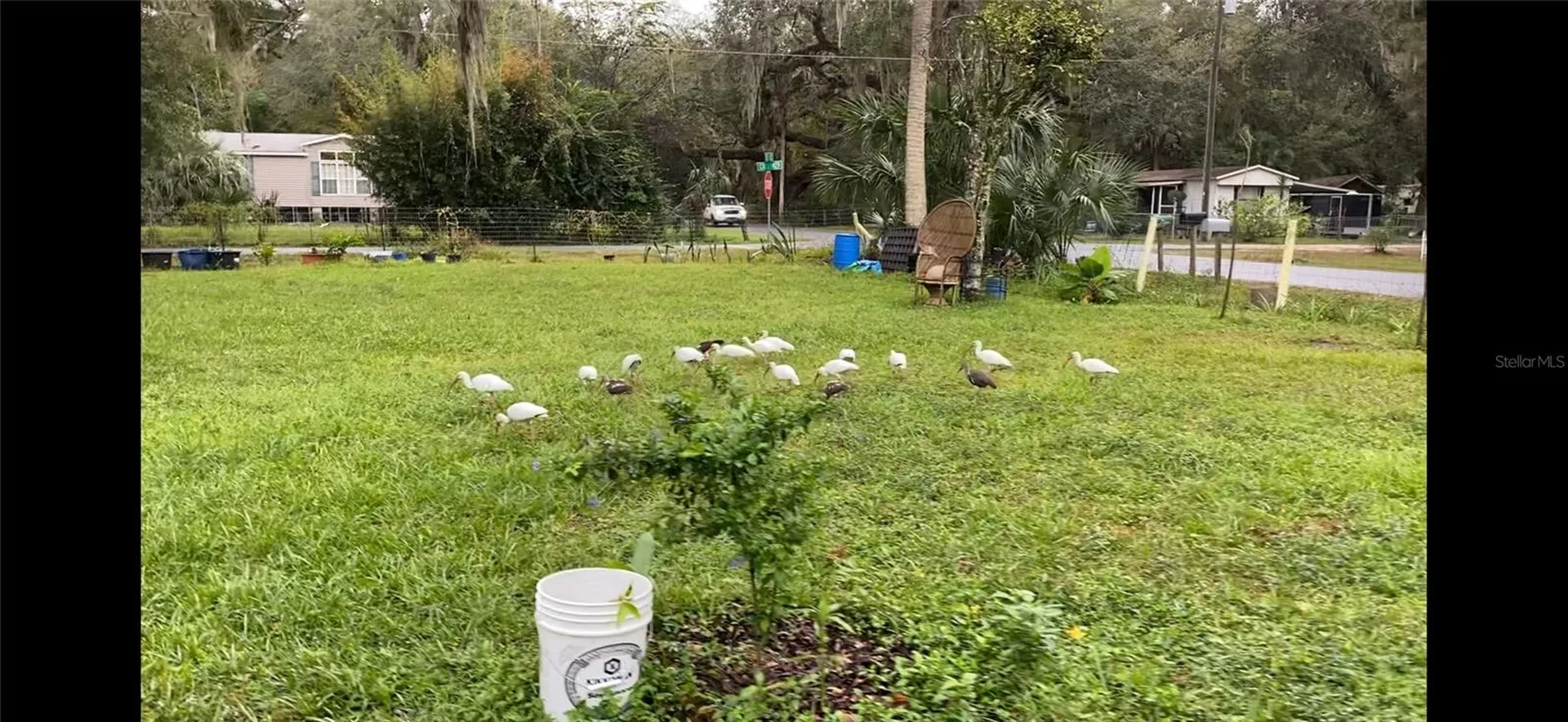 2805 Cr 423 Lake Panasoffkee FL 33538