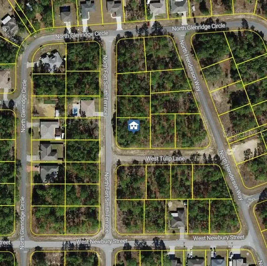 647 W Tulip Lane Citrus Springs FL 34434