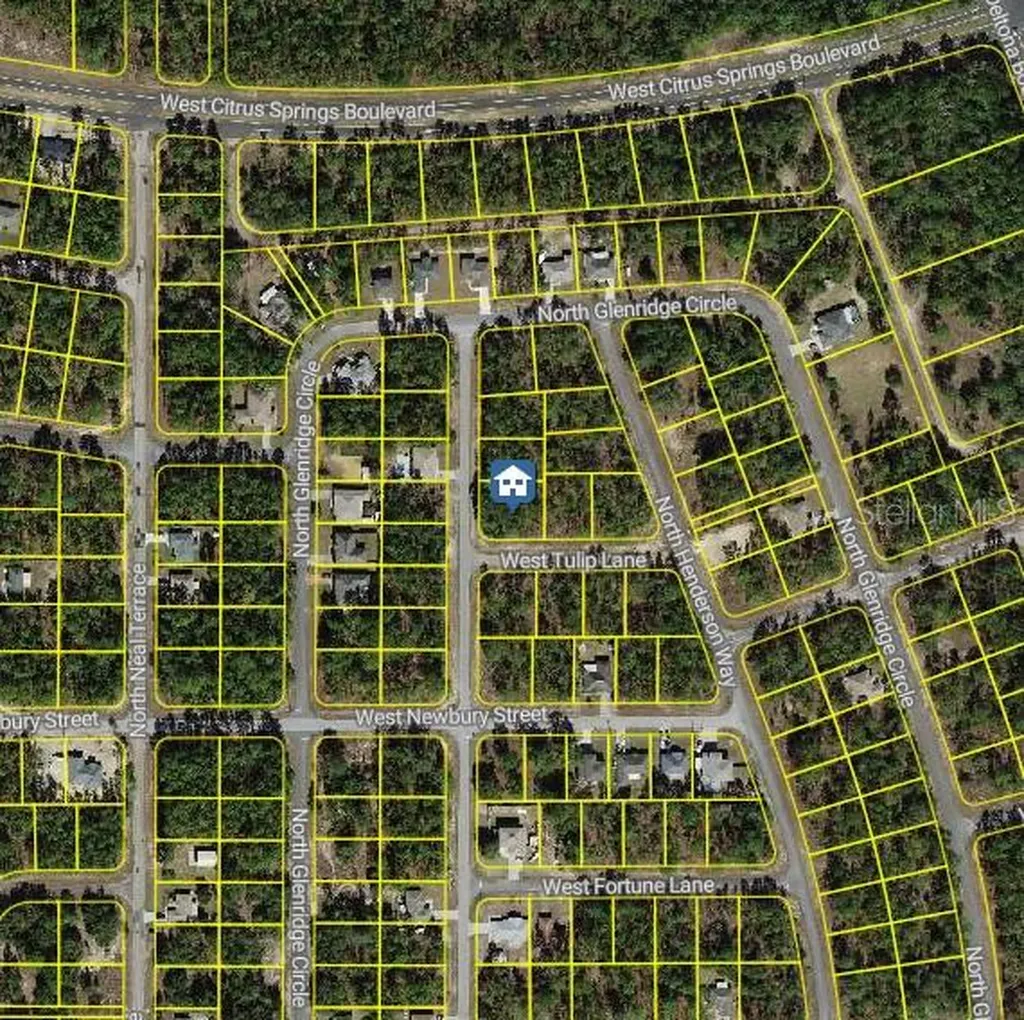 647 W Tulip Lane Citrus Springs FL 34434
