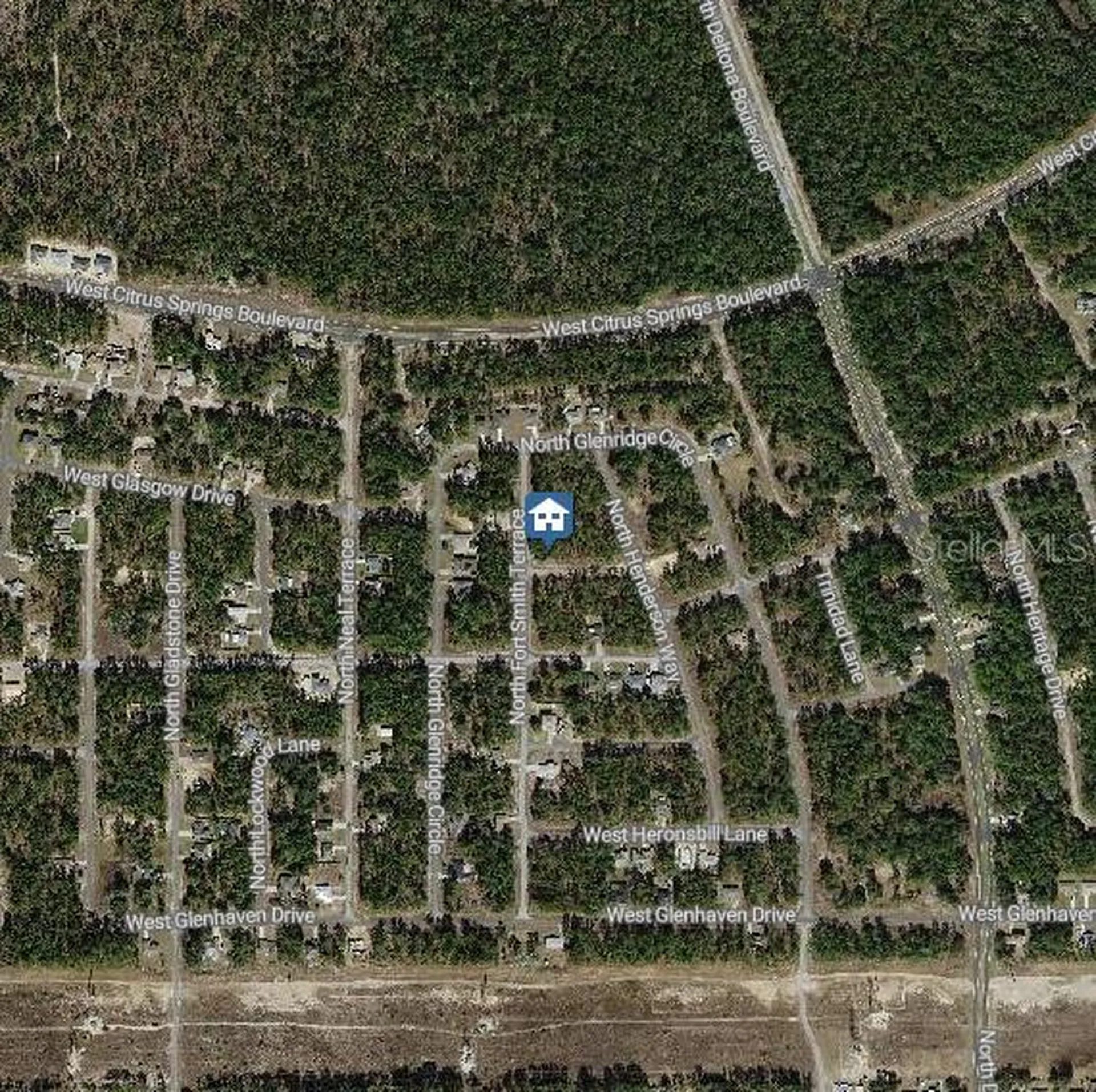647 W Tulip Lane Citrus Springs FL 34434