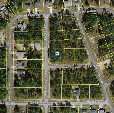 647 W Tulip Lane Citrus Springs FL 34434