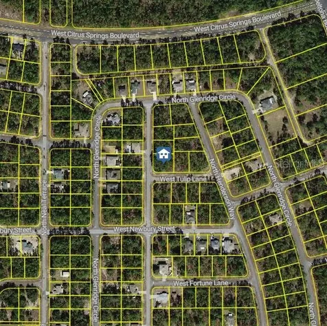 647 W Tulip Lane Citrus Springs FL 34434