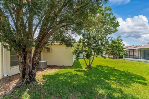 10823 William And Mary Court Orlando FL 32821