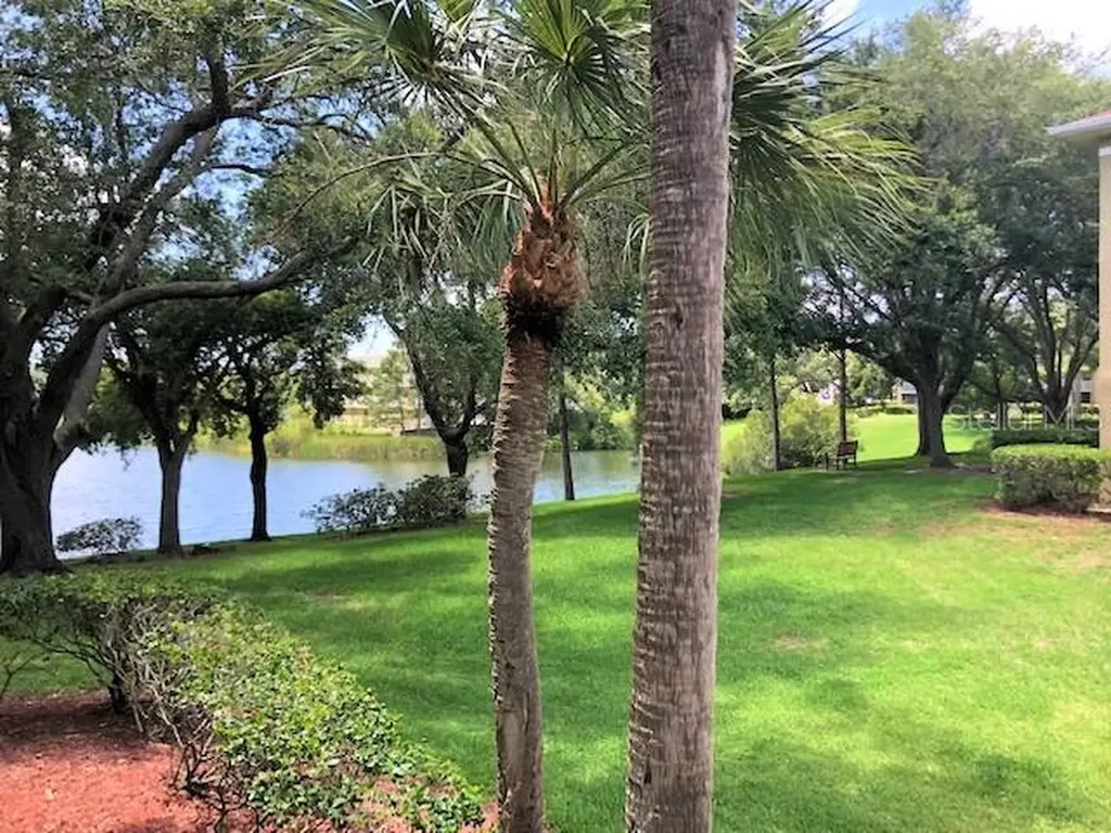 2690 Coral Landings Boulevard Palm Harbor FL 34684