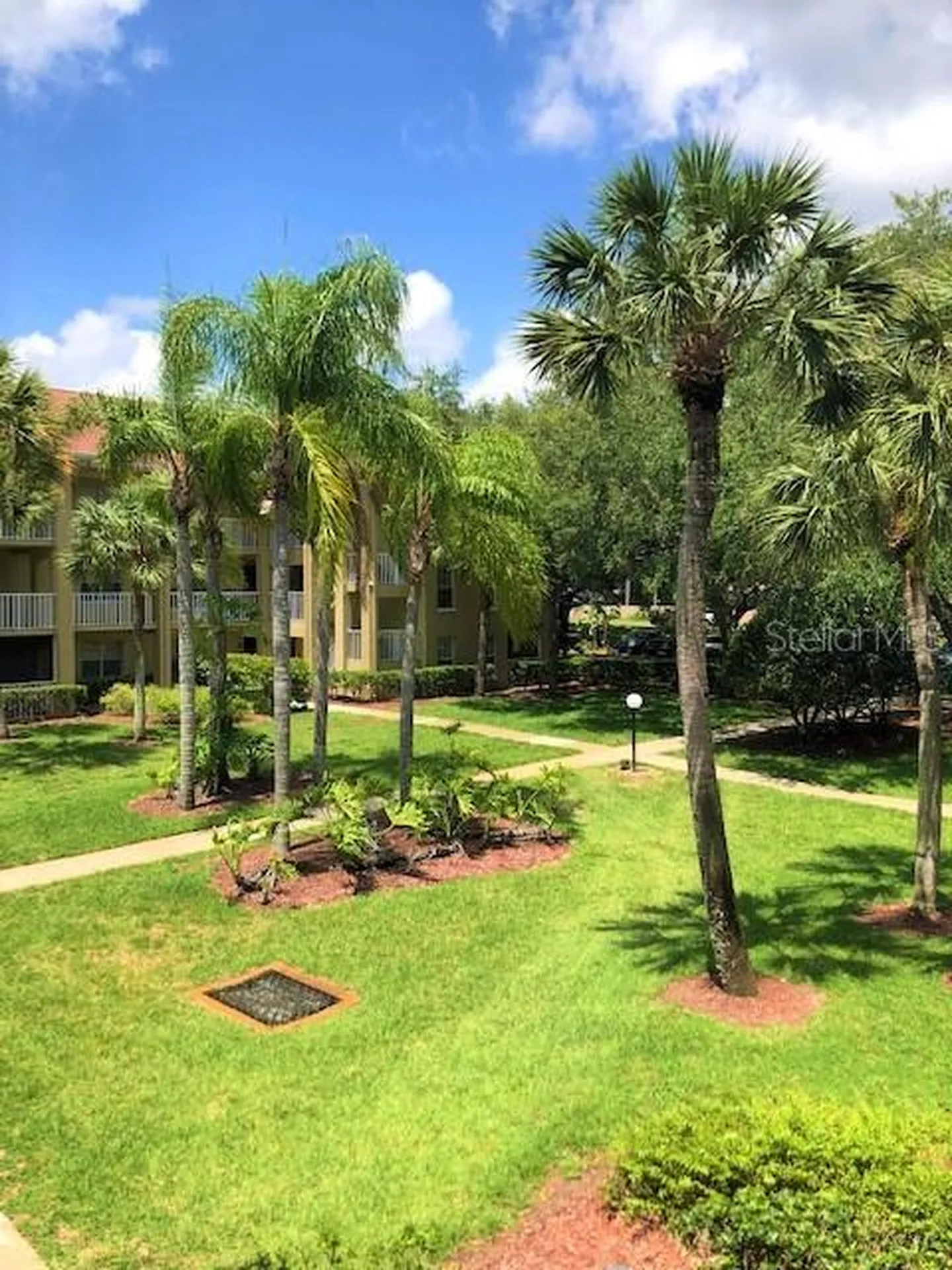 2690 Coral Landings Boulevard Palm Harbor FL 34684