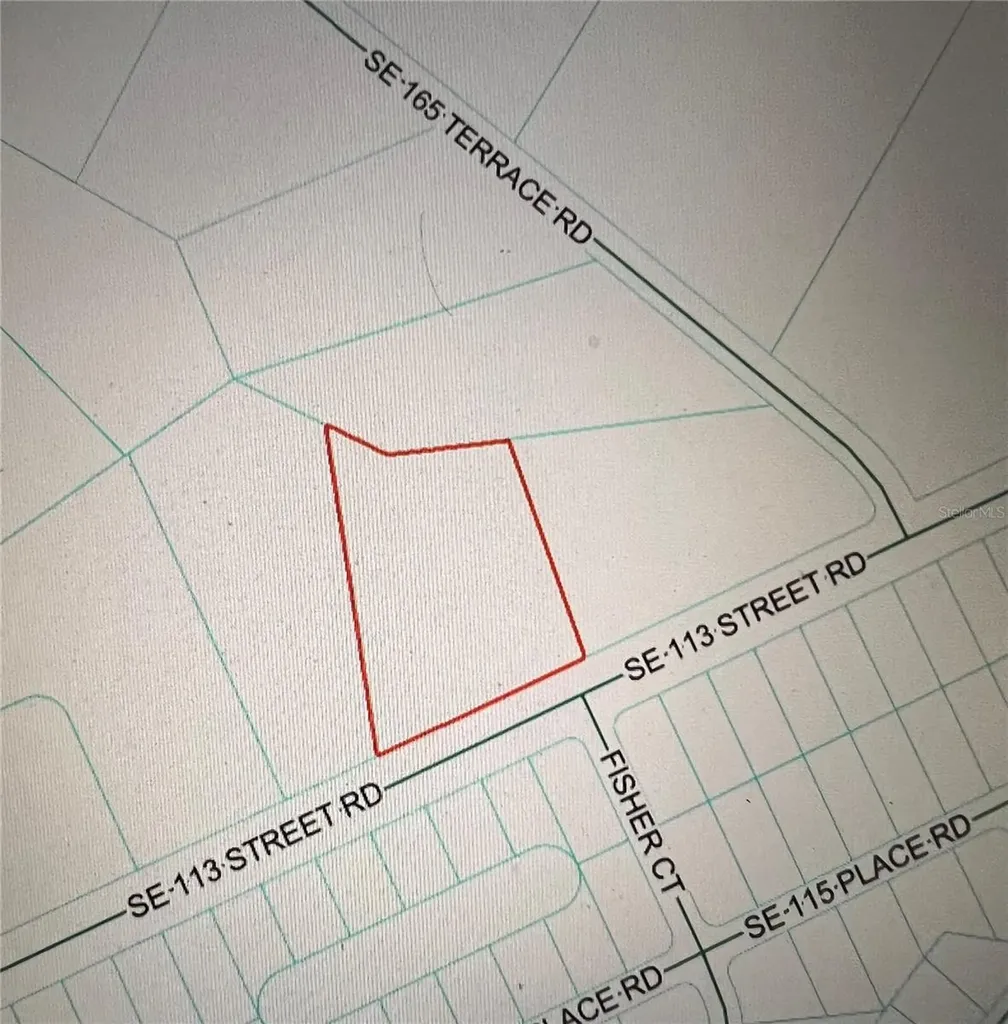 Tbd SE 113th Street Road Ocklawaha FL 32179