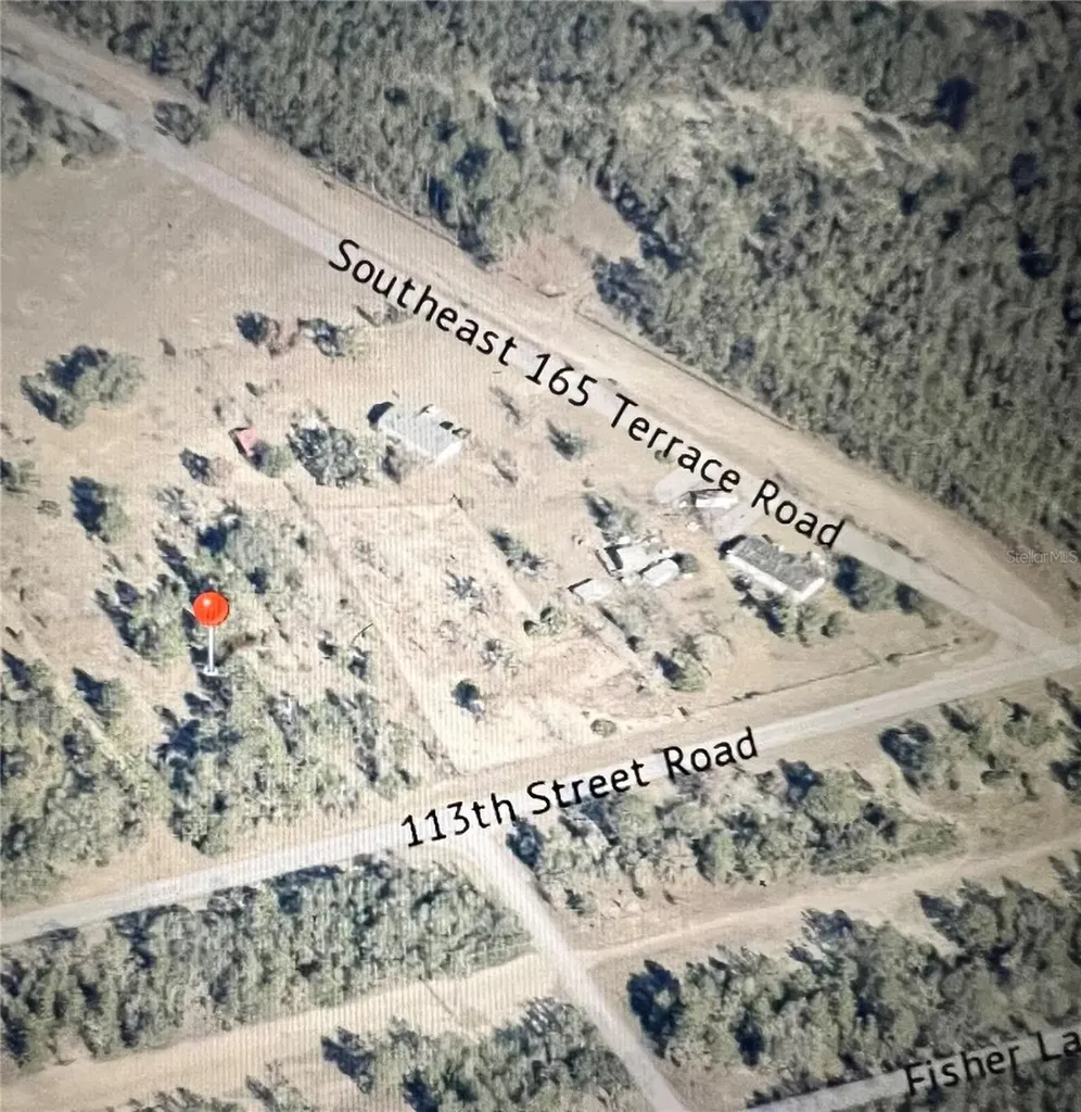 Tbd SE 113th Street Road Ocklawaha FL 32179