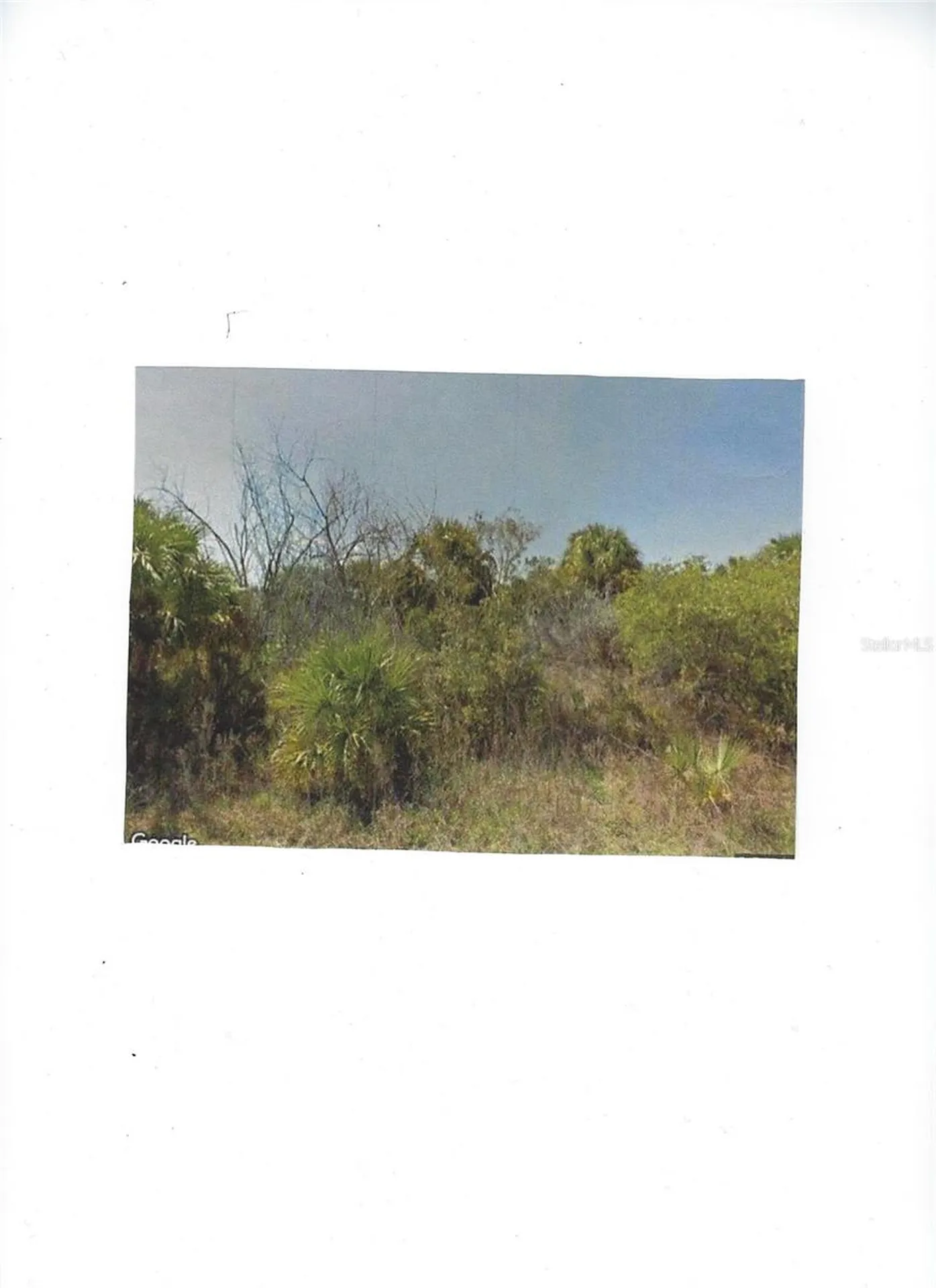 1910 Goodreau Avenue SW Palm Bay FL 32908