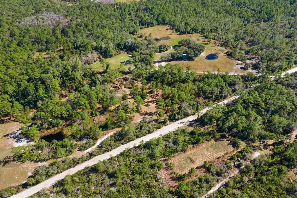 310 Fawn Trail Osteen FL 32764