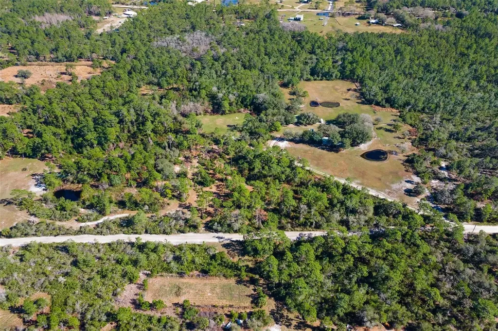 310 Fawn Trail Osteen FL 32764