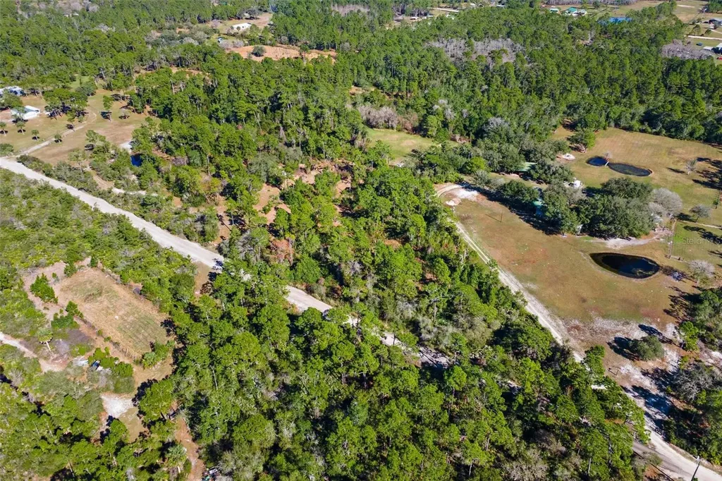 310 Fawn Trail Osteen FL 32764