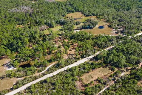 310 Fawn Trail Osteen FL 32764