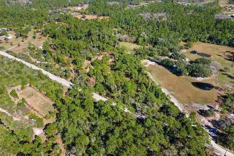 310 Fawn Trail Osteen FL 32764