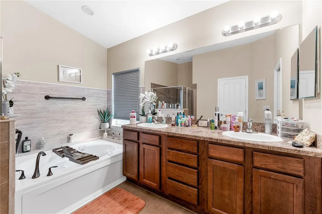 6729 Boulder Run Loop Wesley Chapel FL 33545