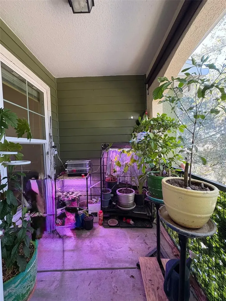 1810 E Palm Avenue Tampa FL 33605