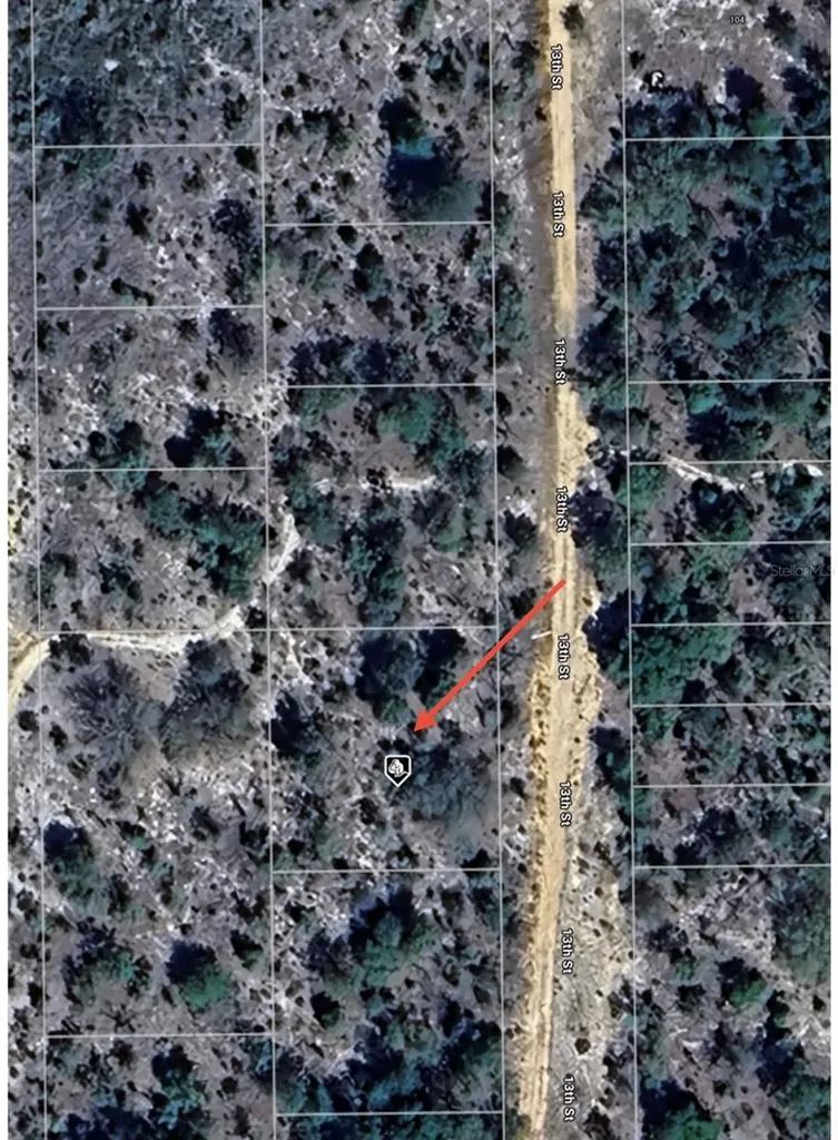 Tbd 13th Street Interlachen FL 32148