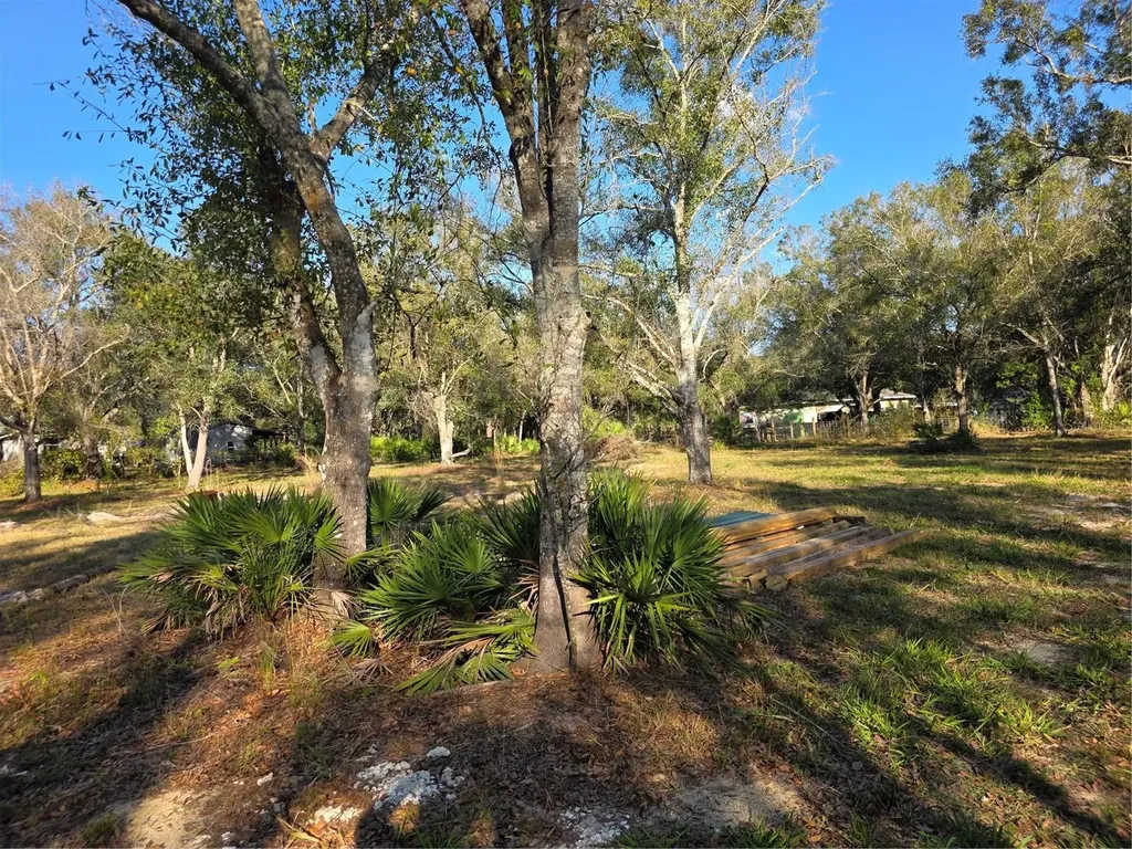 4816 SE Wheat Avenue Arcadia FL 34266