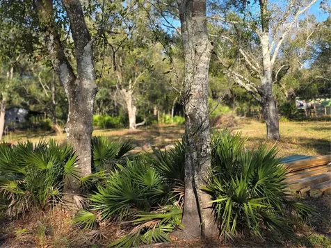 4816 SE Wheat Avenue Arcadia FL 34266