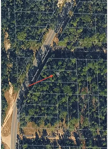 608 Baden Powell Road Hawthorne FL 32640