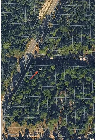 Baden Powell Road Hawthorne FL 32640