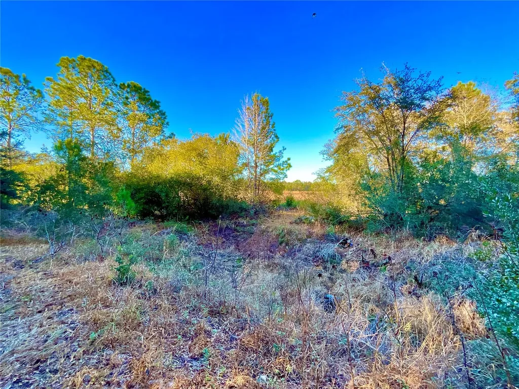 Tbd Lakeview Way Interlachen FL 32148