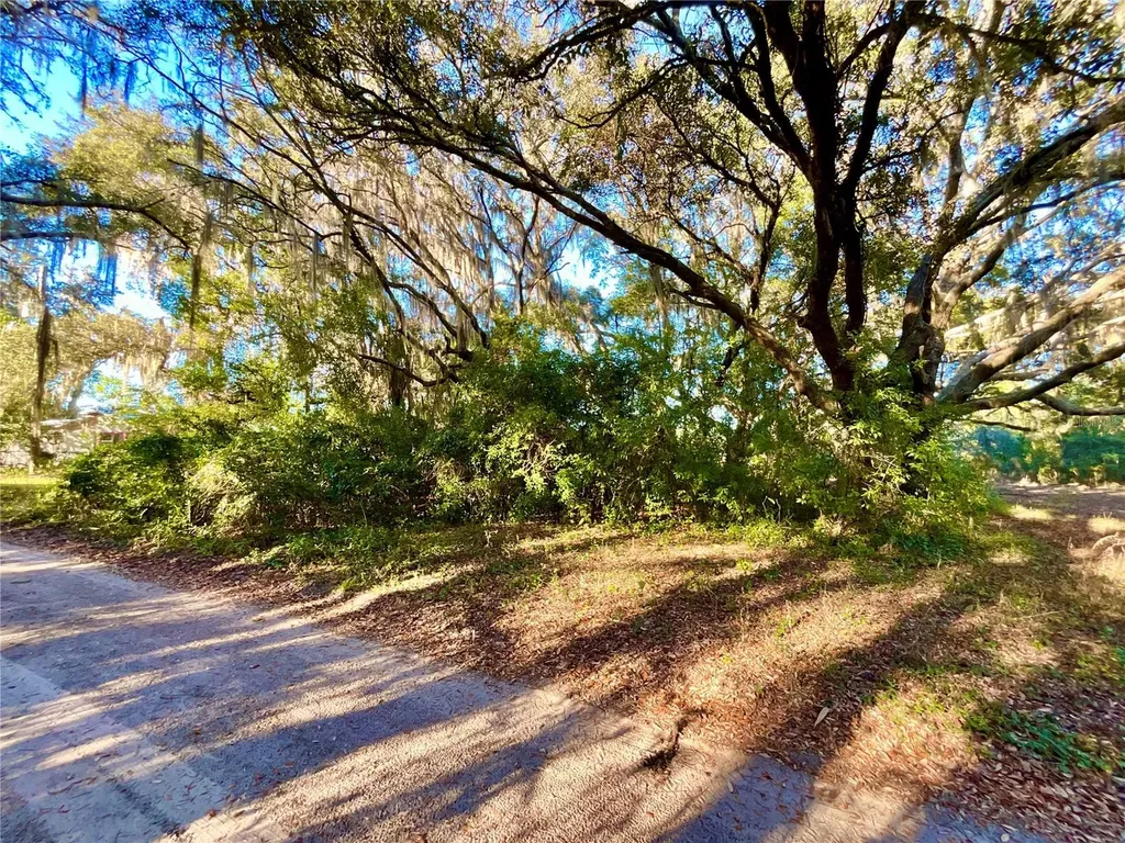 Tbd Lakeview Way Interlachen FL 32148