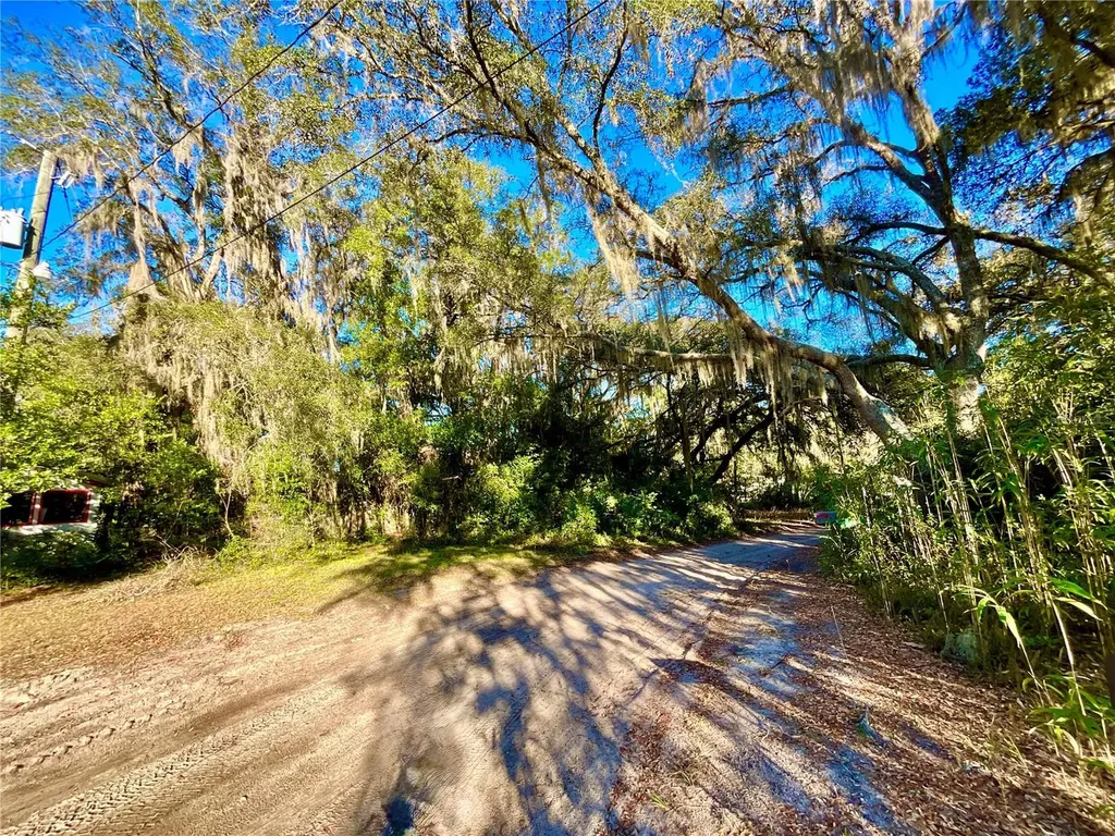 Tbd Lakeview Way Interlachen FL 32148