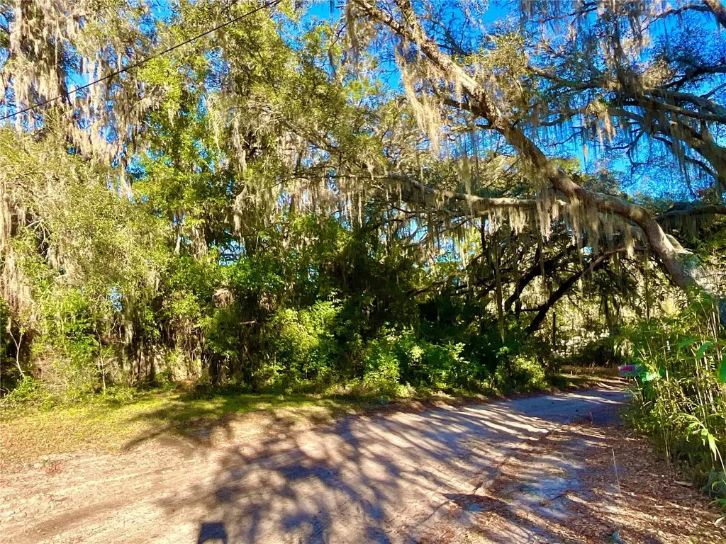 Tbd Lakeview Way Interlachen FL 32148