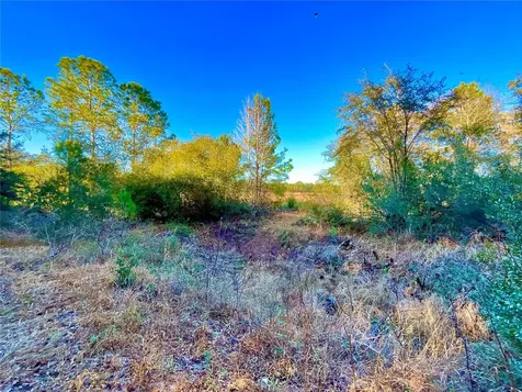 Tbd Lakeview Way Interlachen FL 32148