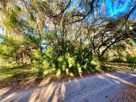 Tbd Lakeview Way Interlachen FL 32148