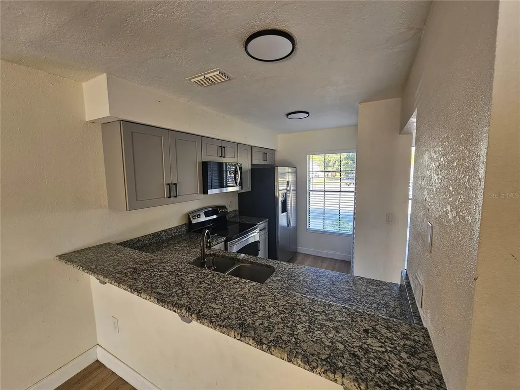 1236 Dovehill Drive Apopka FL 32703