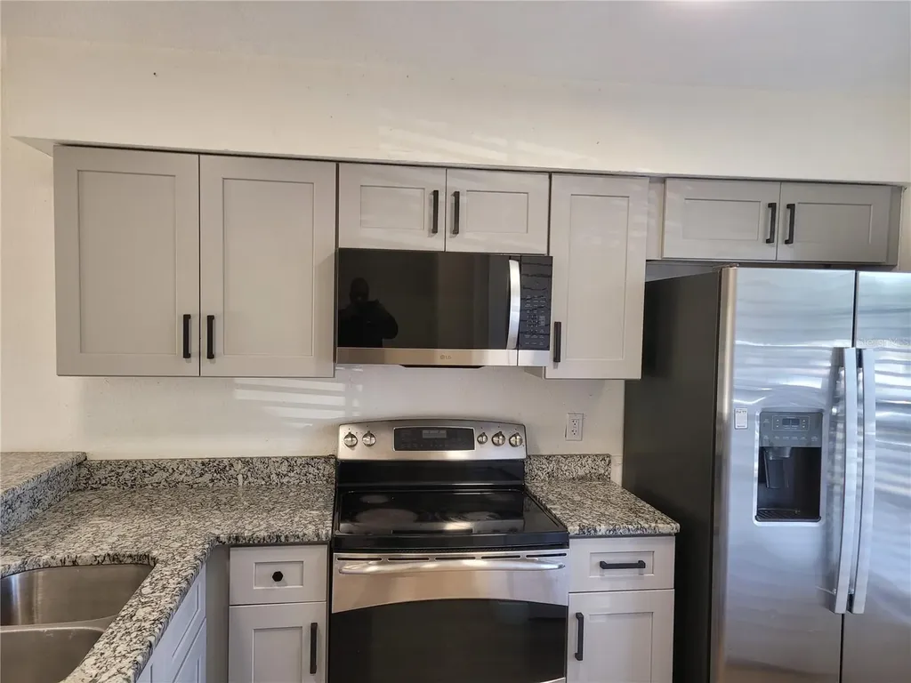 1236 Dovehill Drive Apopka FL 32703