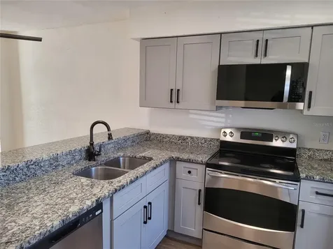 1236 Dovehill Drive Apopka FL 32703