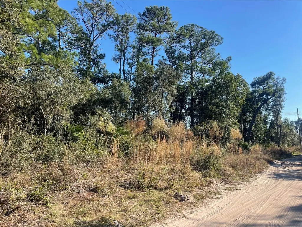 Rose Bud Drive Deland FL 32720