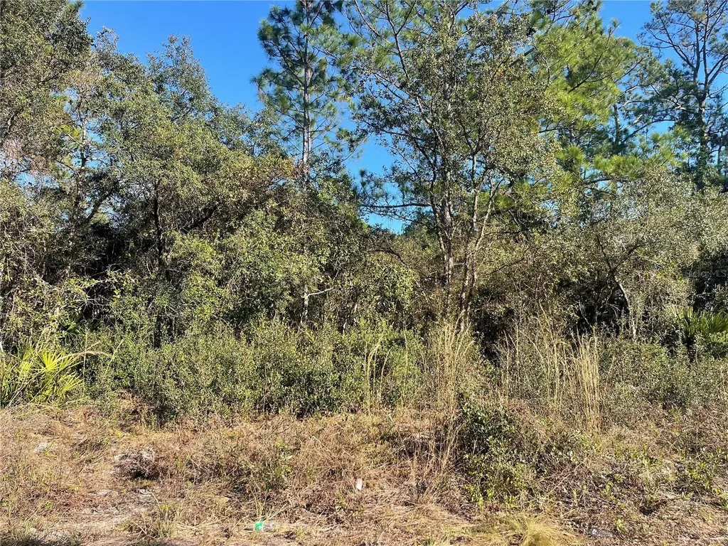 Rose Bud Drive Deland FL 32720
