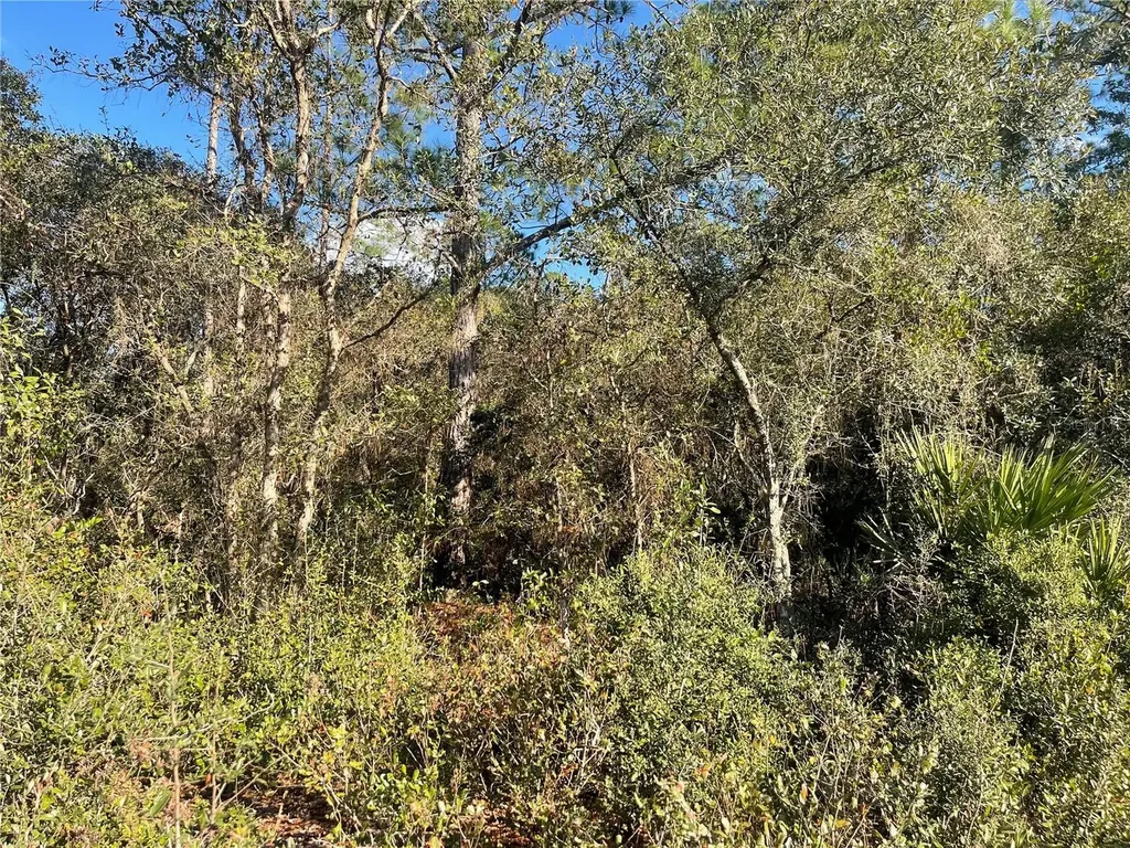 Rose Bud Drive Deland FL 32720